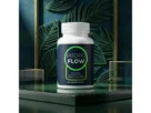 ProtoFlow Supplement